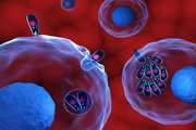 Formulation and evaluation of atovaquone-loaded macrophagederived exosomes against Toxoplasma gondii: in vitro and in vivo assessment